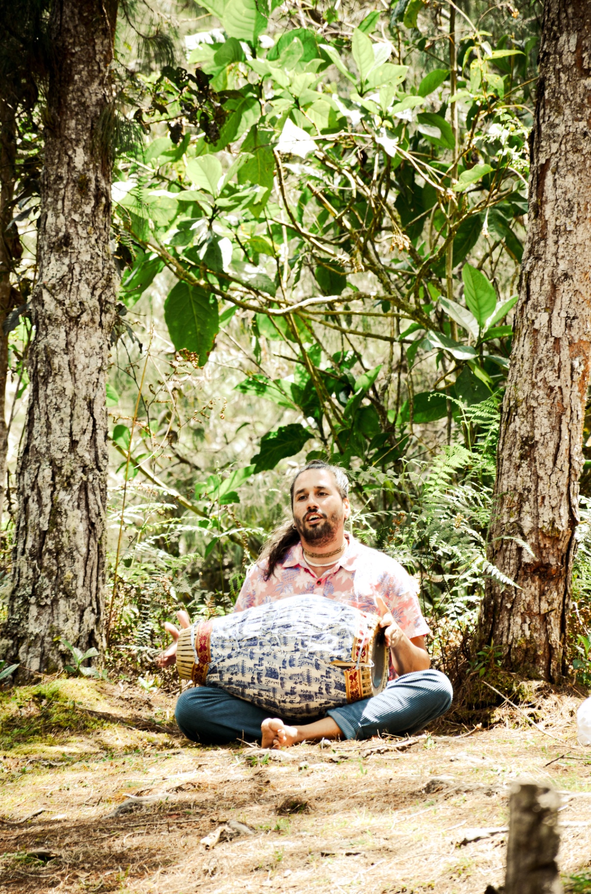 Música medicina con tambor en el bosque