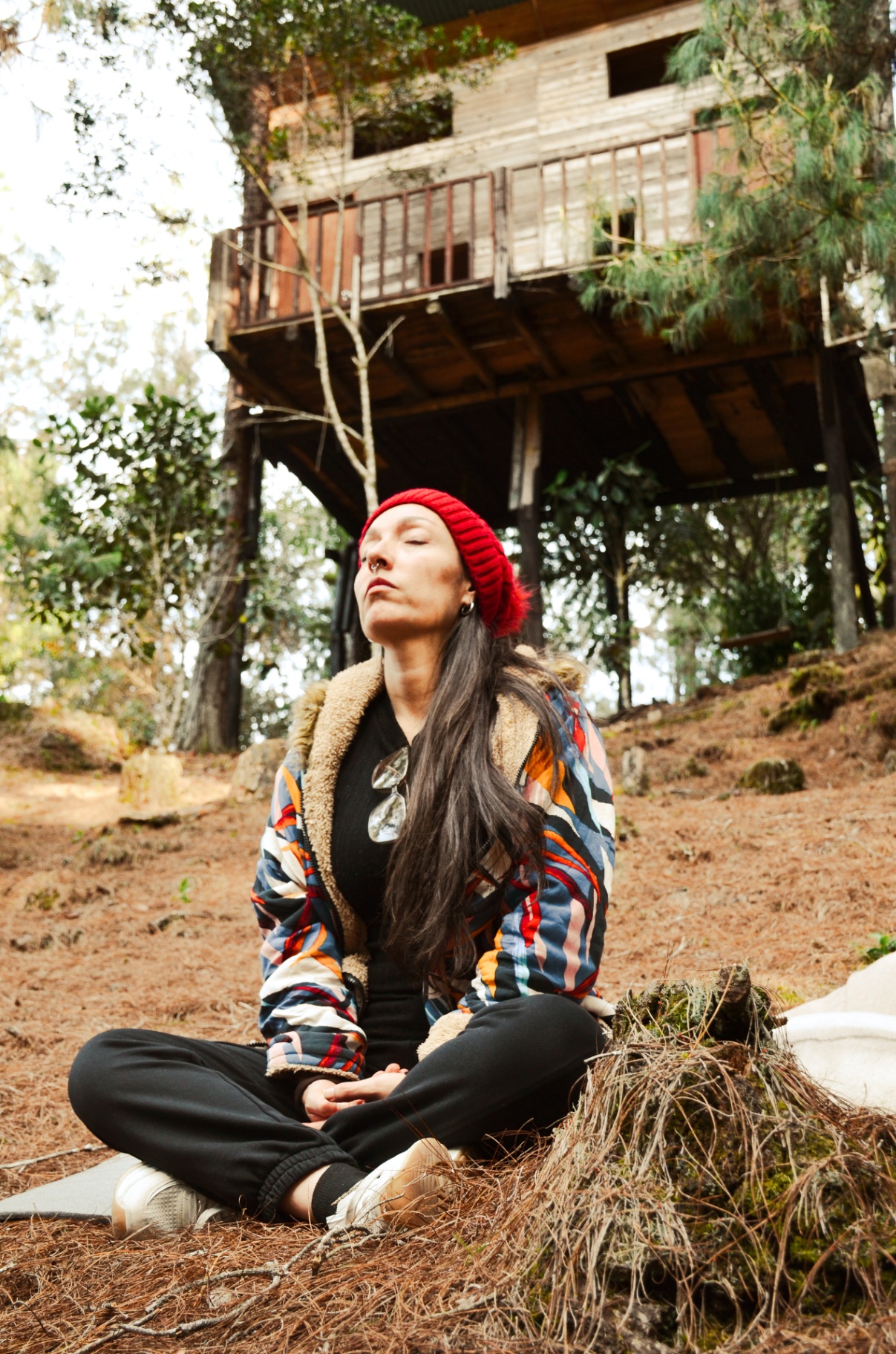 Meditación al aire libre frente a casa del árbol